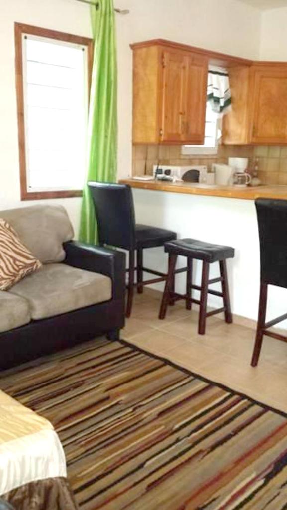 One bedroom appartement with furnished garden and wifi at La Savane 2 km away from the beach photo 3