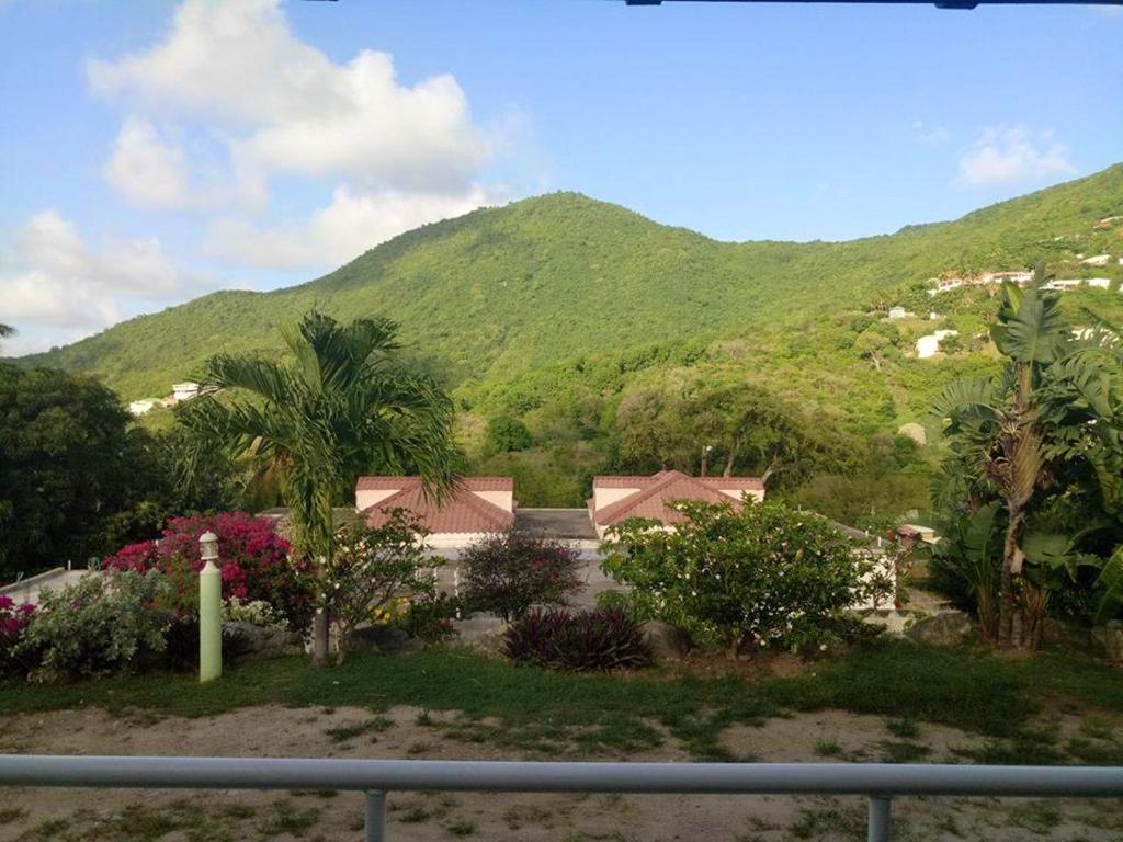 One bedroom appartement with furnished garden and wifi at La Savane 2 km away from the beach photo 2