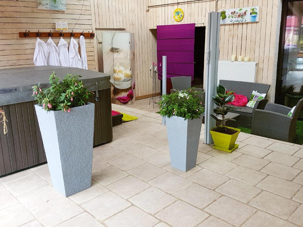 Villa de 6 chambres avec piscine privee jacuzzi et jardin clos a Ottonville photo 3