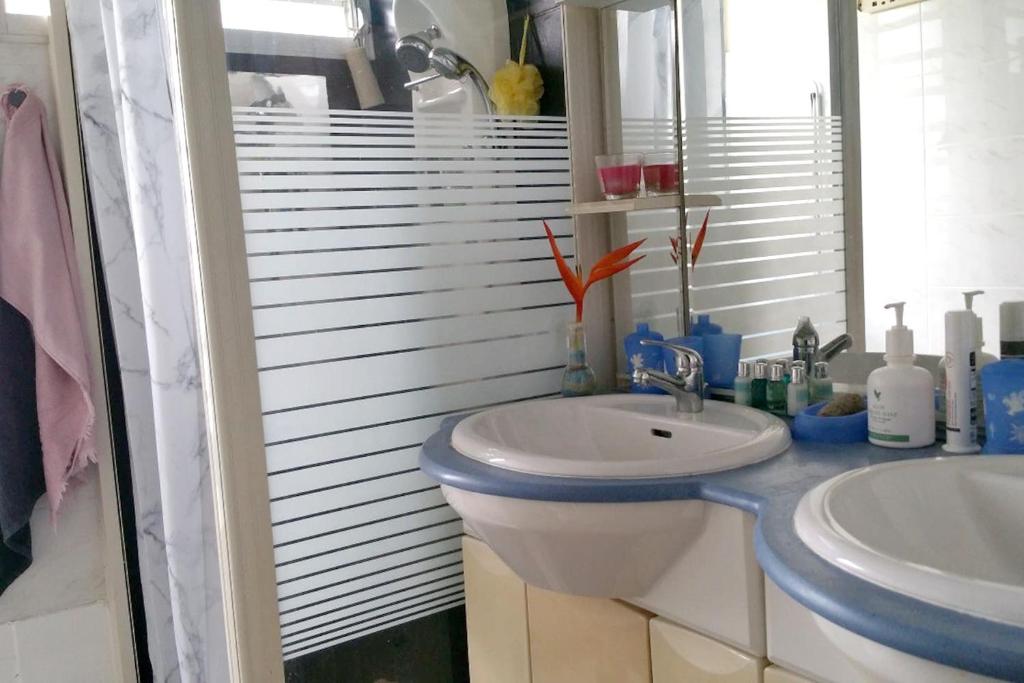 Appartement d'une chambre avec jardin amenage et wifi a Lamentin photo 2