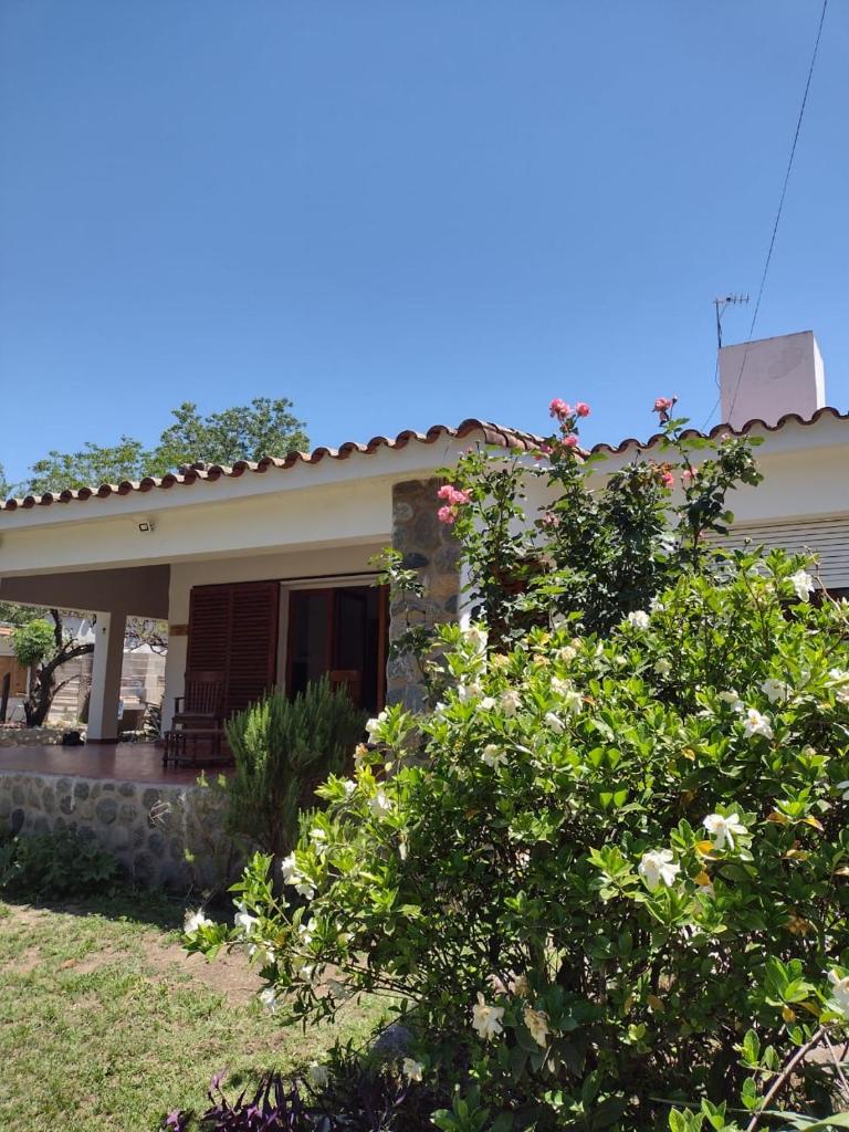 Villa Coca-Los Agapantos- photo 1