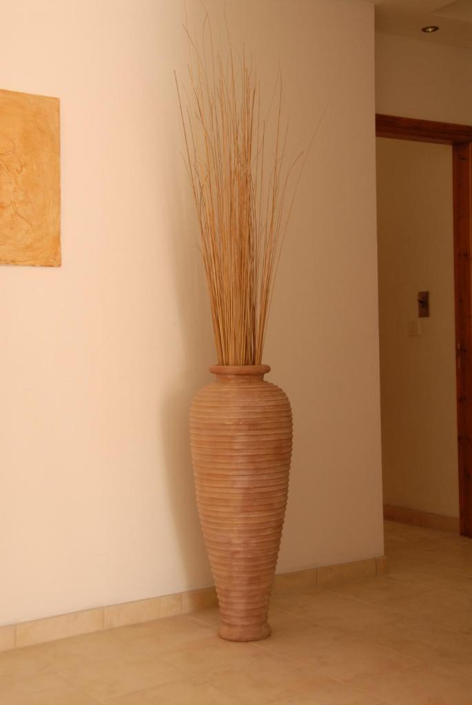Vengera Suites photo 3