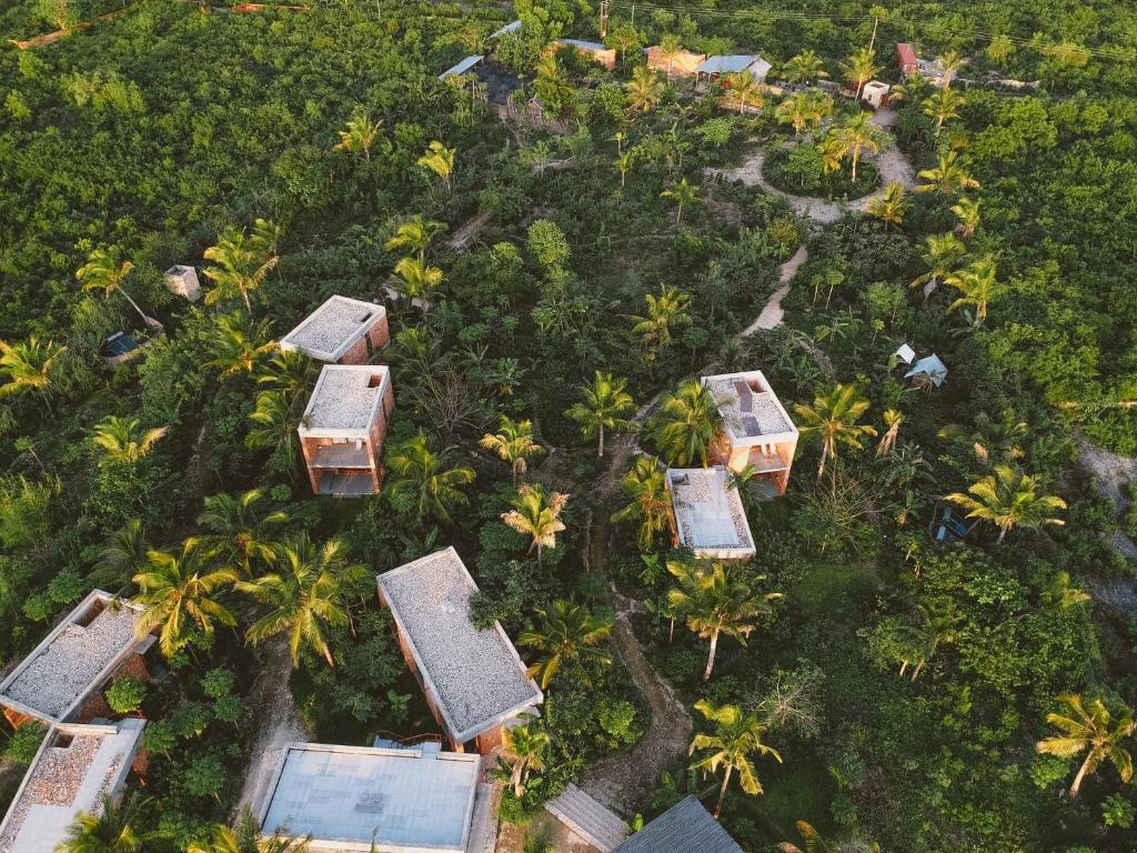 Kizikula photo 3