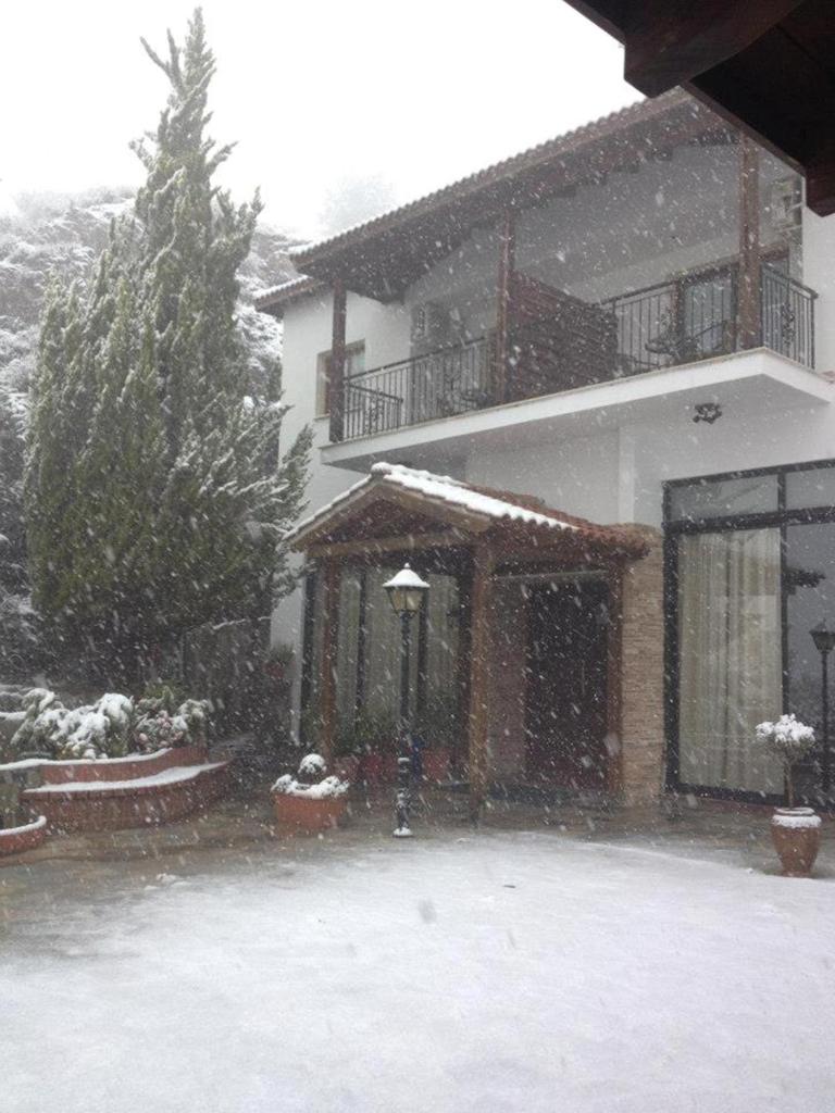 Vengera Suites photo 4