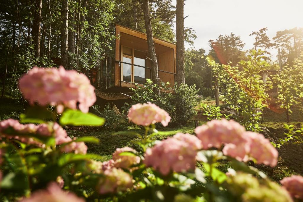 Theodosius Forest Village - Glamping in Vipava valley photo 3