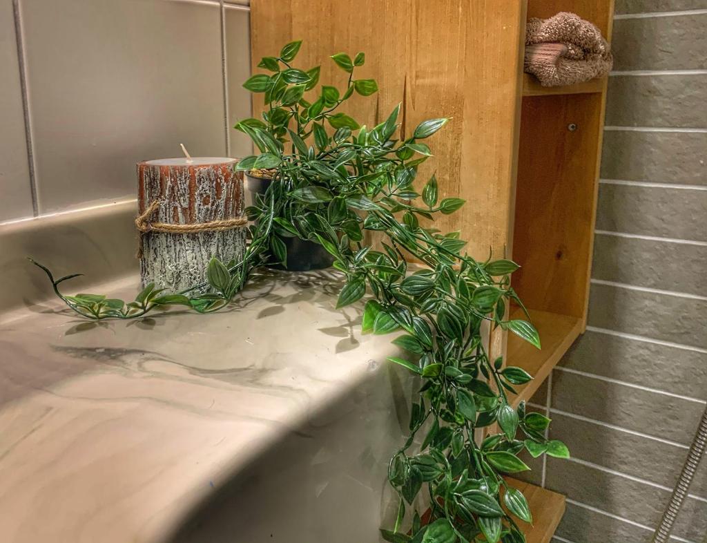 Imatra Spa & Golf Villa2 - Tap to explore photos