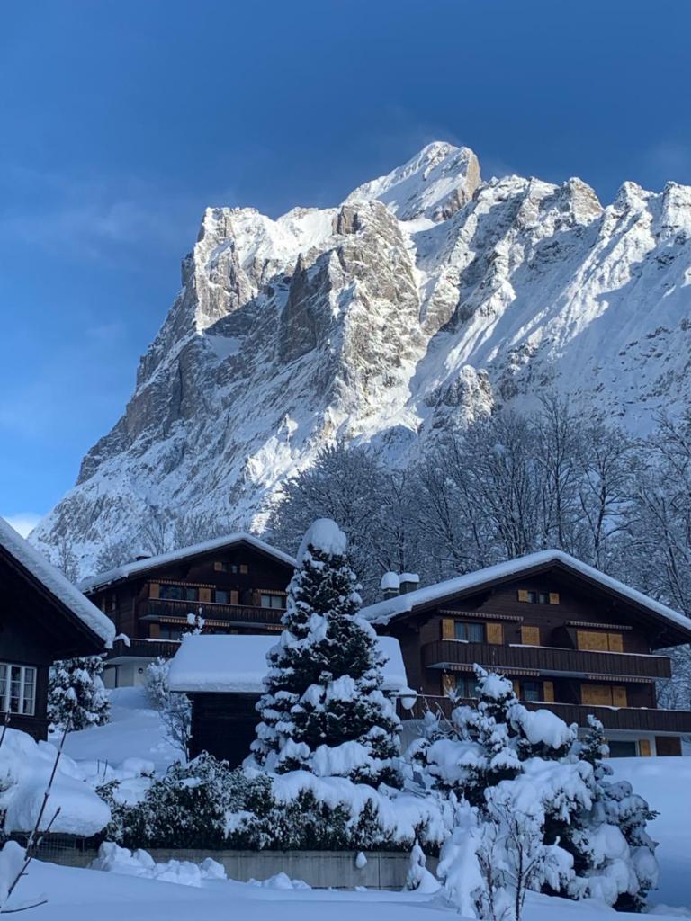 Chalet Sunneblick photo 2