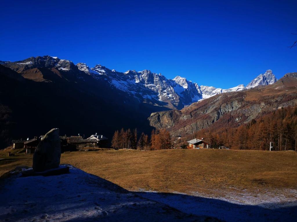 la casa dei nonni photo 4