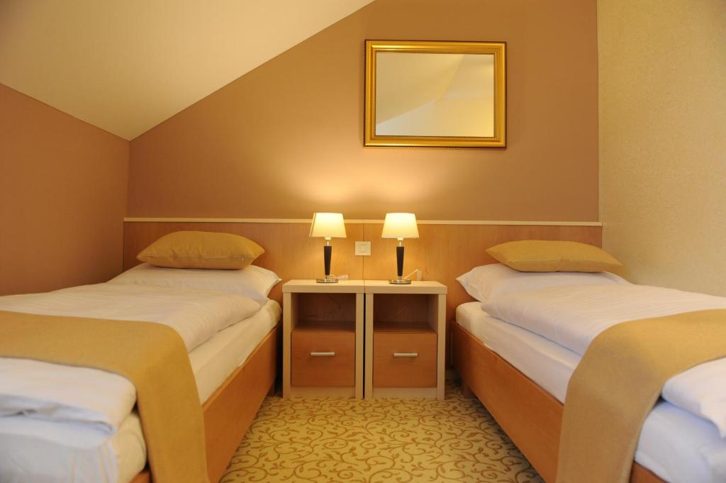 Двухместный (Двухместный номер с 2 отдельными кроватями), Hotel Gallus