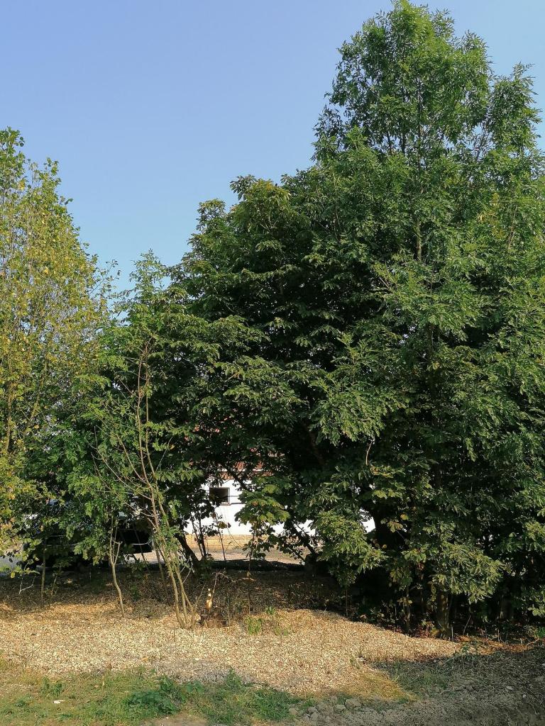 Camping Weides photo 1