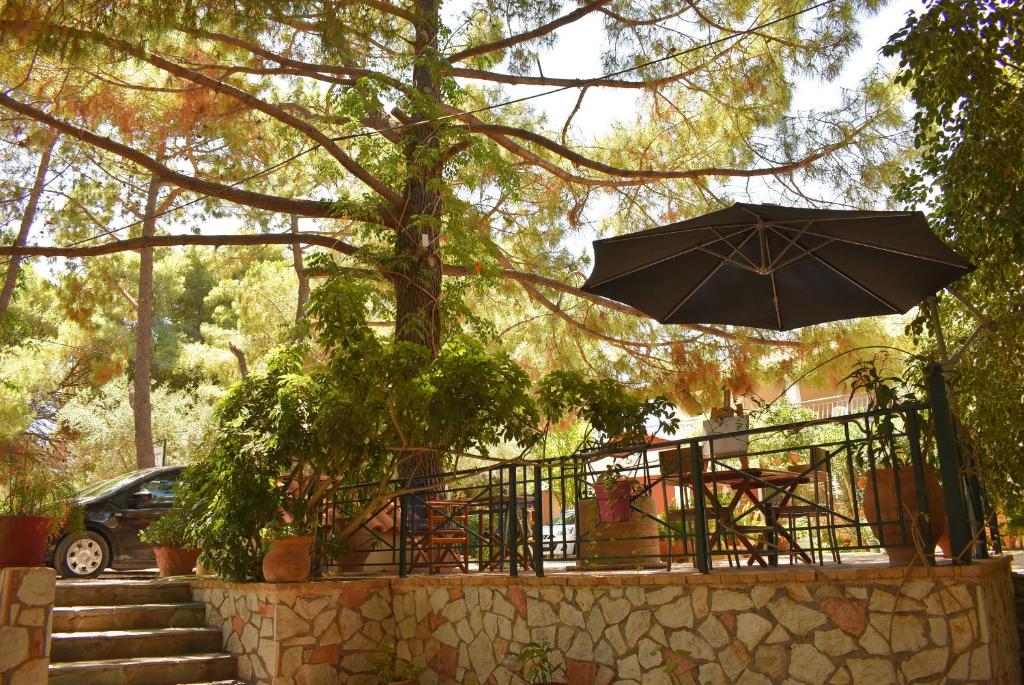 Kuris Studios & Apartments photo 4