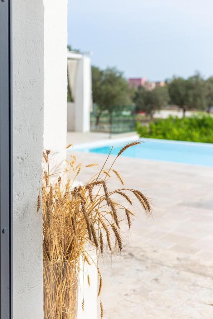Masseria Limonaia & Spa photo 3