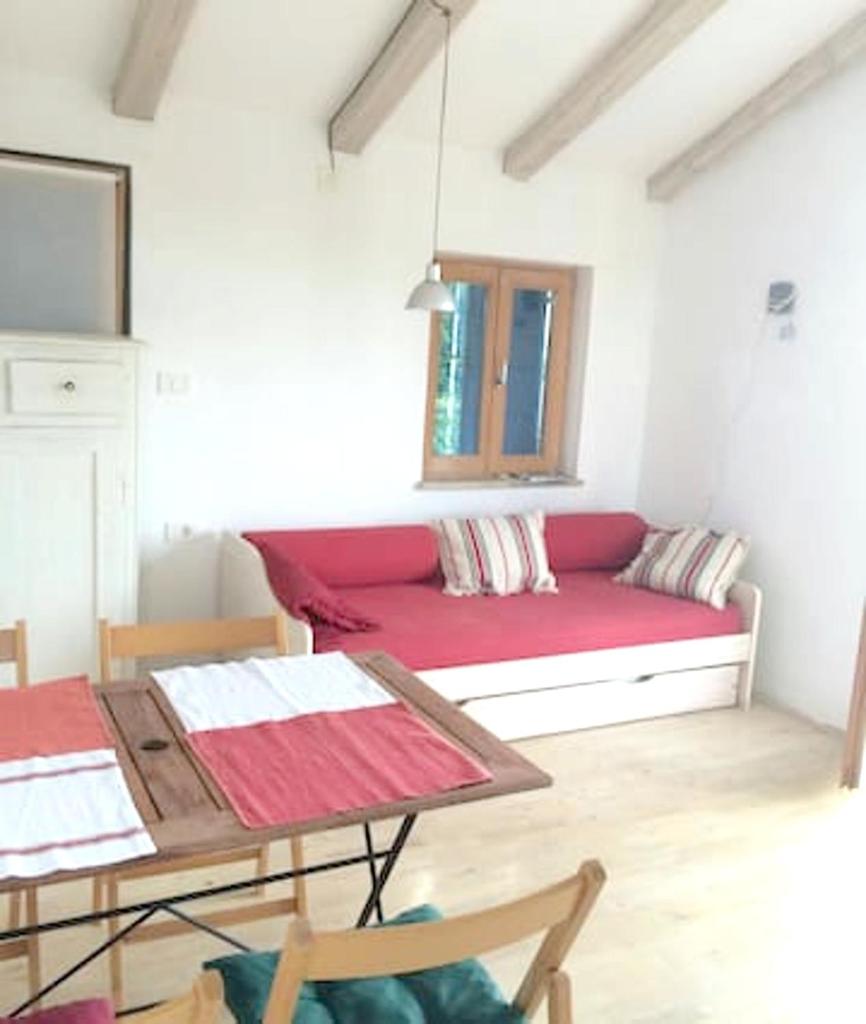 One bedroom appartement with wifi at Zambratija photo 1