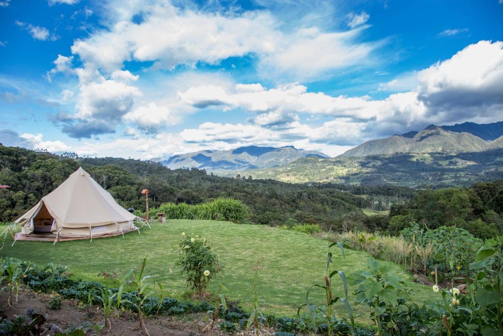 Glamping Finca Corazón photo 4