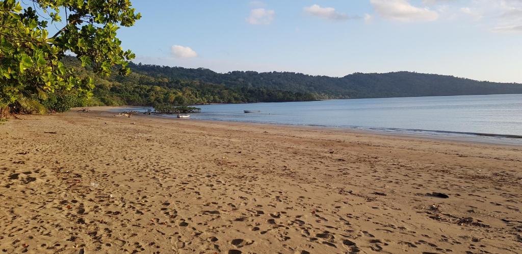 Joli F3 à une minute de la plage photo 2