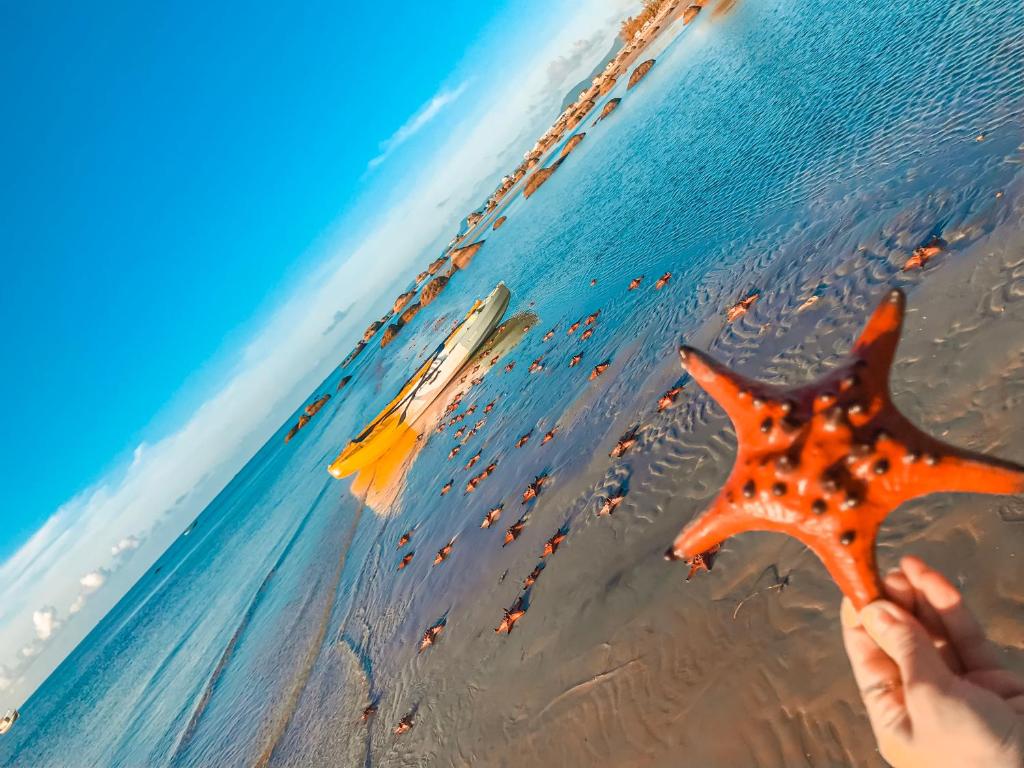 Cay Sao Beach Resort