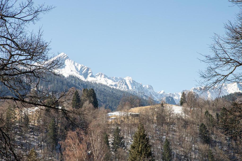Alpen Loggia photo 4