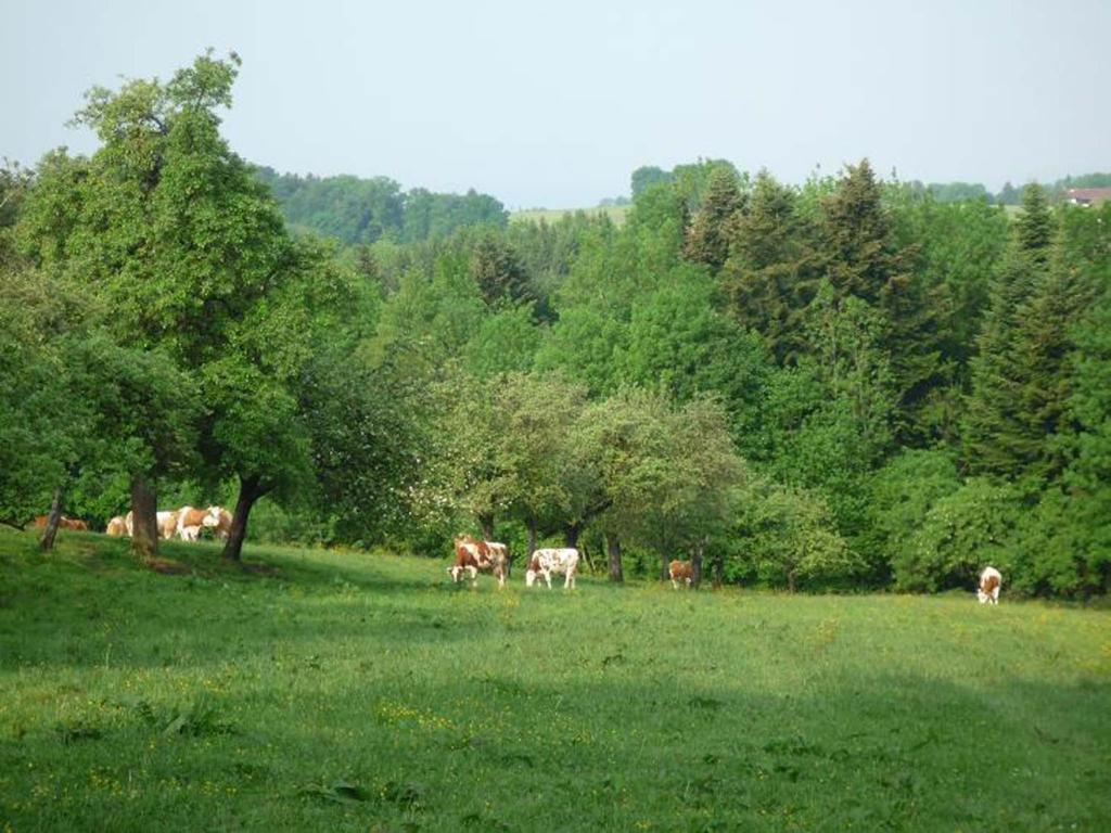 Ringerhof photo 1
