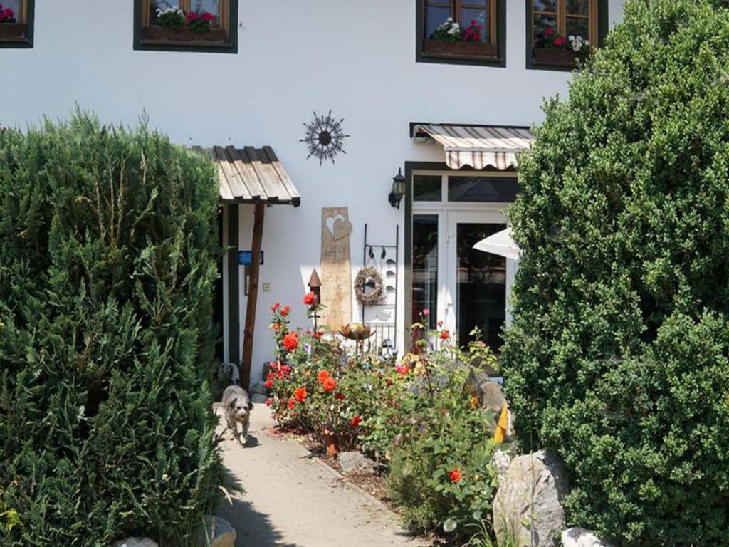 Ringerhof photo 2