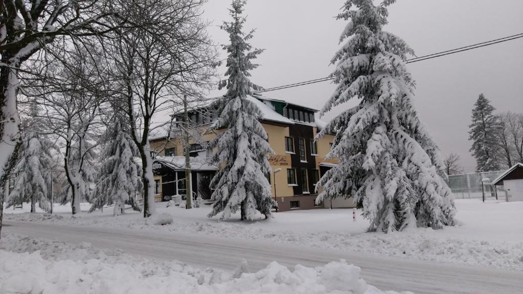 Penzion Švýcarský dům photo 1