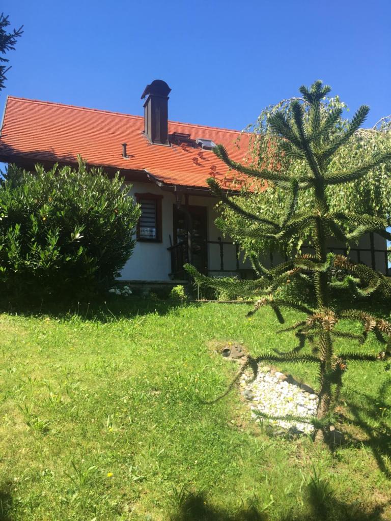 Haus Bergblick photo 1