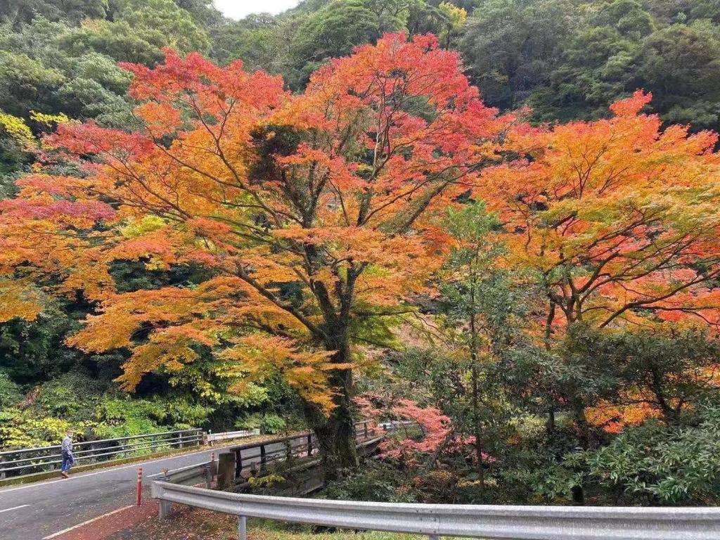 Hoshi no Sato photo 2