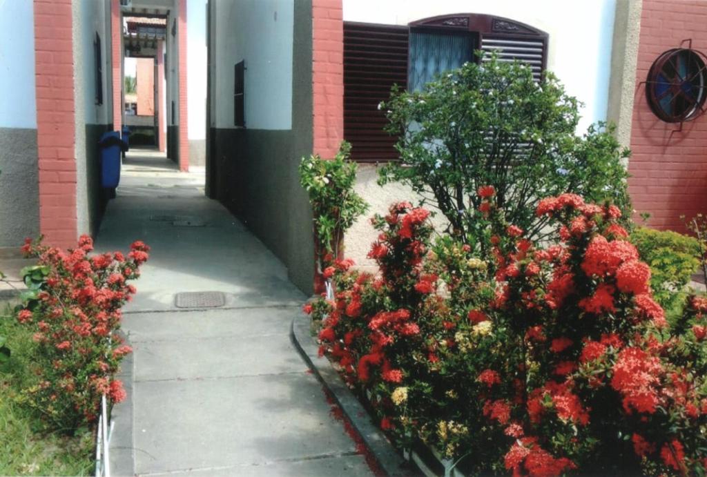 Apartamento Iguaba Grande, bairro Canellas City , em frente ao trailer do popeye photo 2