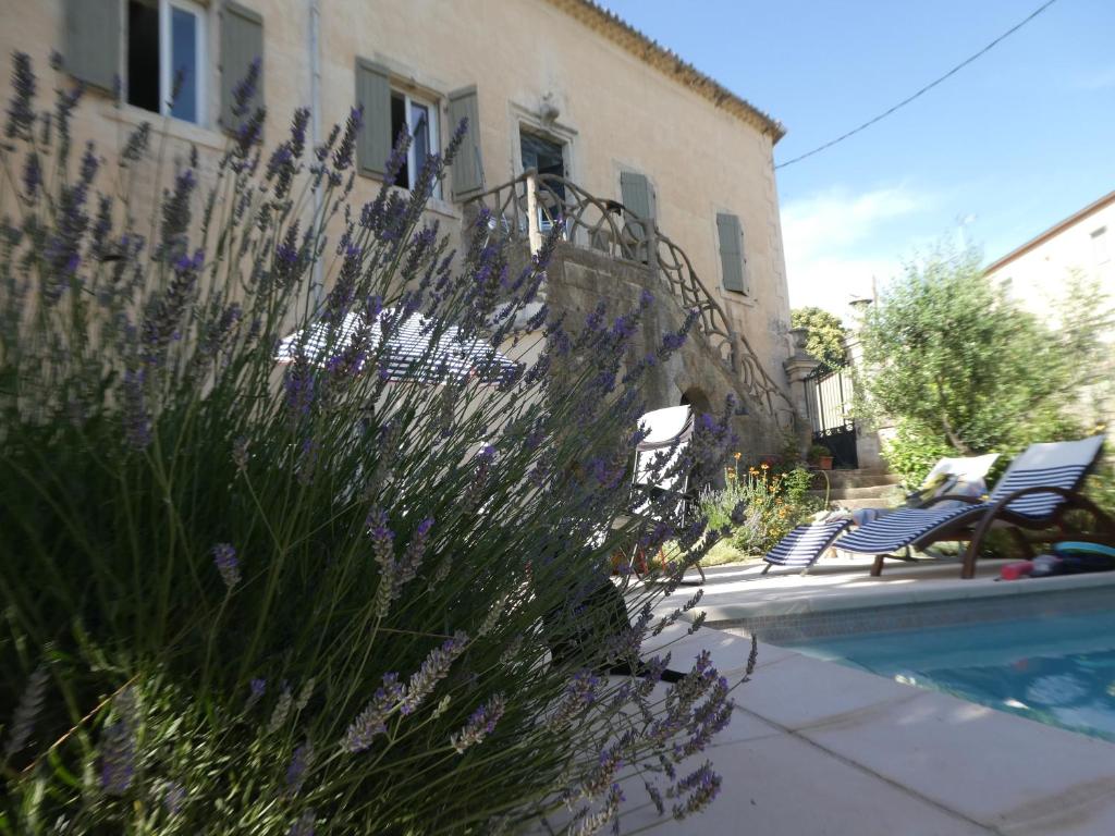 Clos du Magnolia photo 1