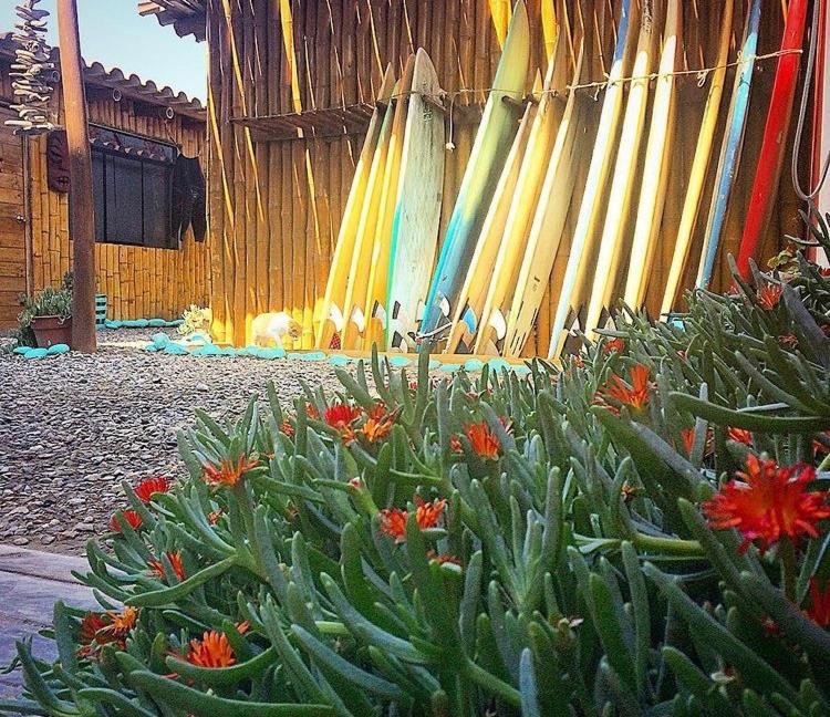 Surf House Chicama photo 4