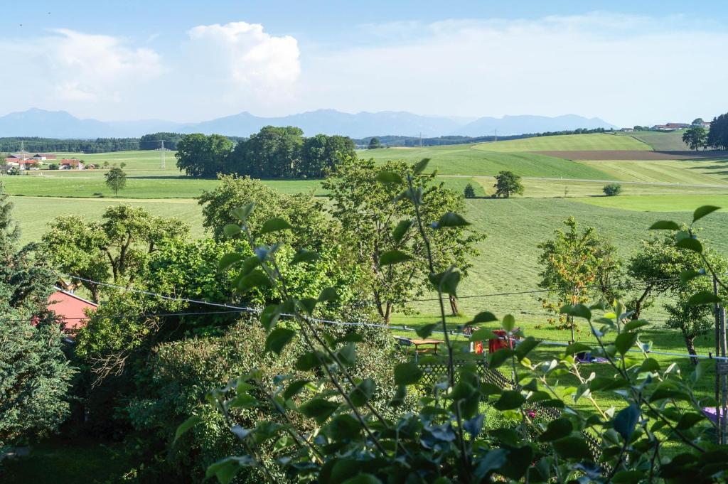 Mayerhof photo 2