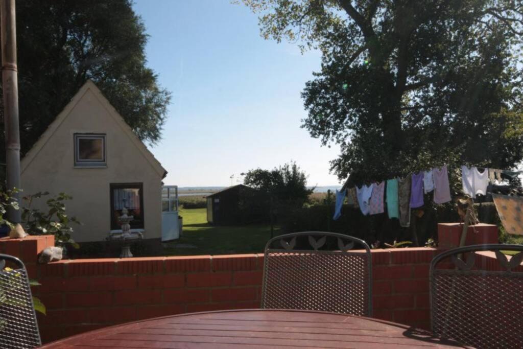 Boddenblick - Ferienwohnung mit Gartennutzung in Grieben Hiddensee photo 2