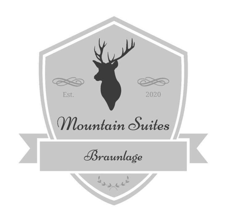 Mountain Suites Braunlage photo 1