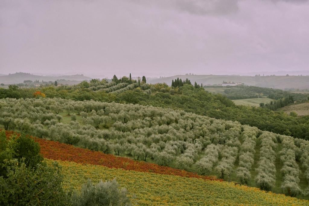 Tenuta Bibbiano Chianti Classico photo 1