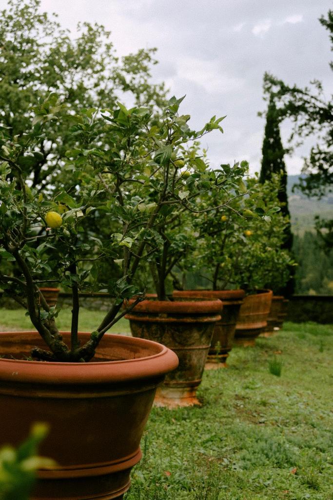 Tenuta Bibbiano Chianti Classico photo 2