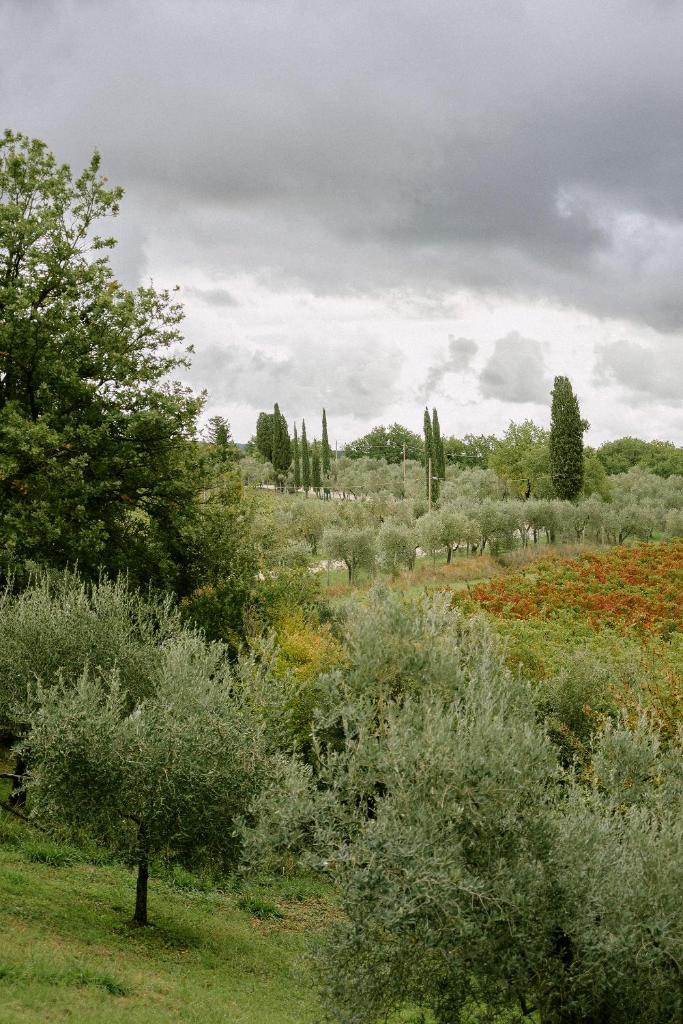 Tenuta Bibbiano Chianti Classico photo 3