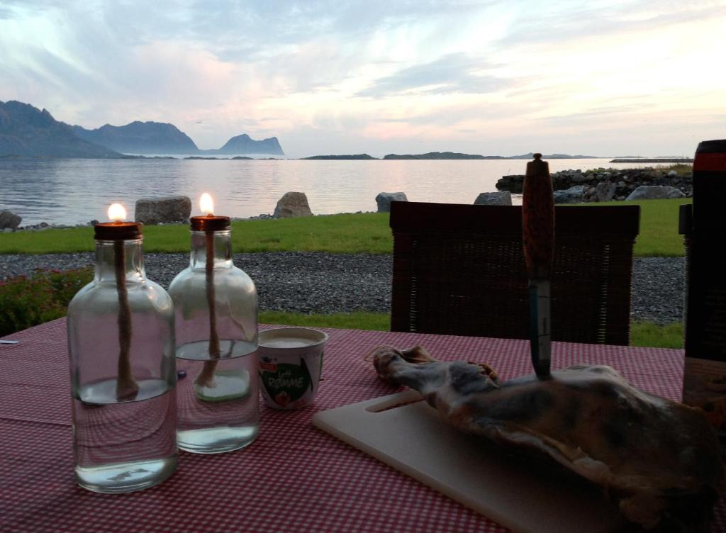 TINEBUA Basecamp Senja photo 2