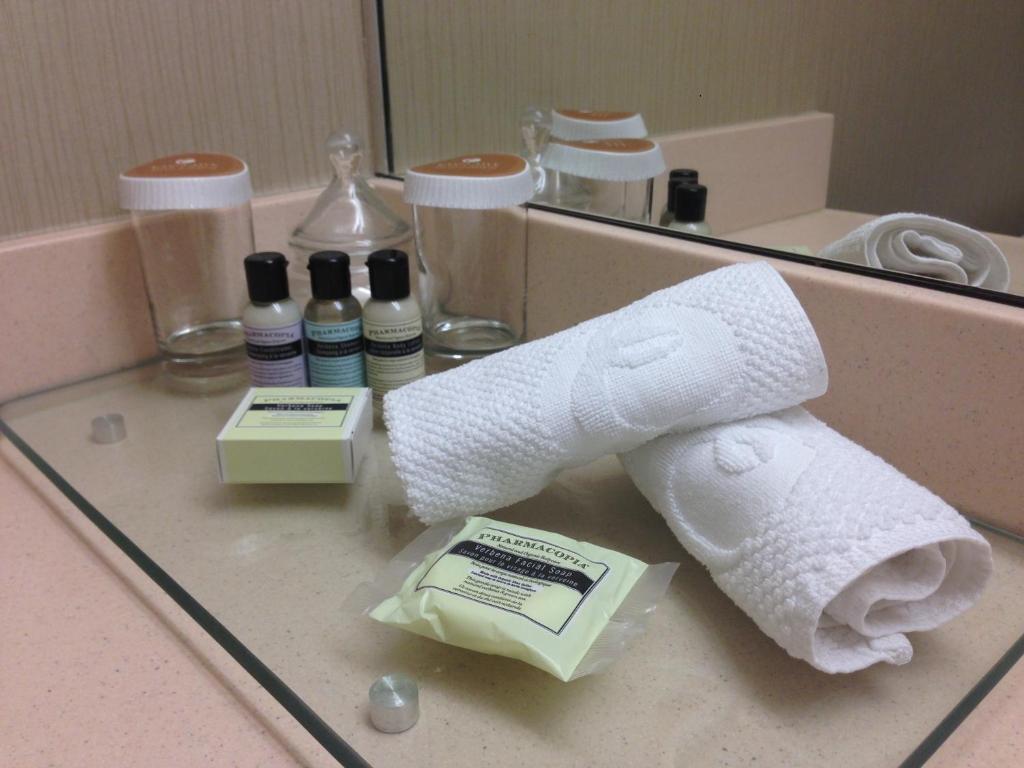 Executive Hotel Vancouver Airport photo 1