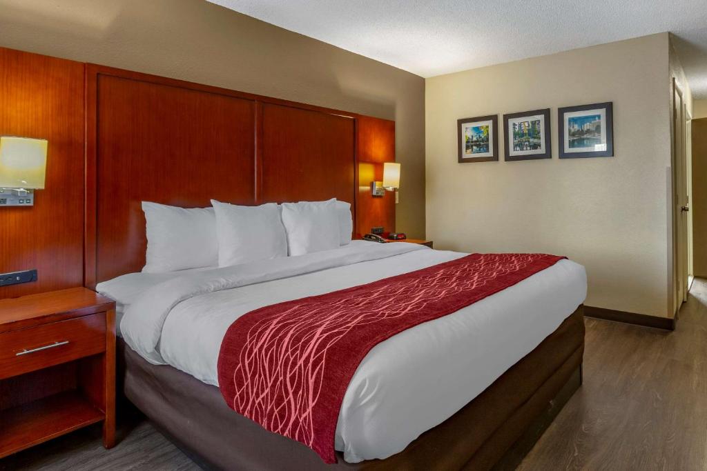 Comfort Inn At the Park photo 4