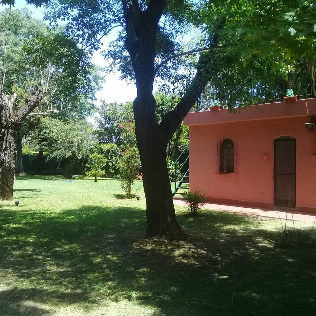 Posada Don Salvador photo 4