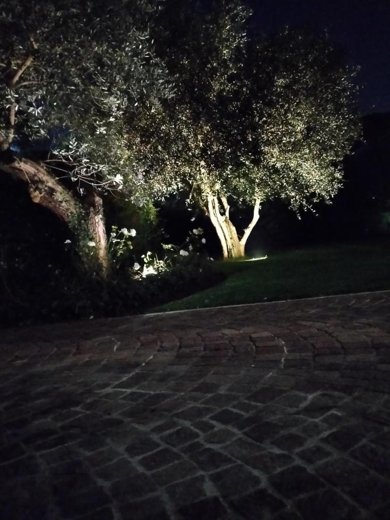 Villa Beatrice photo 2