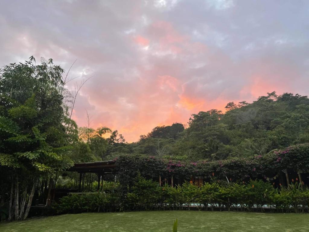 Soul Sync Sanctuary formally Hacienda la Moringa photo 1