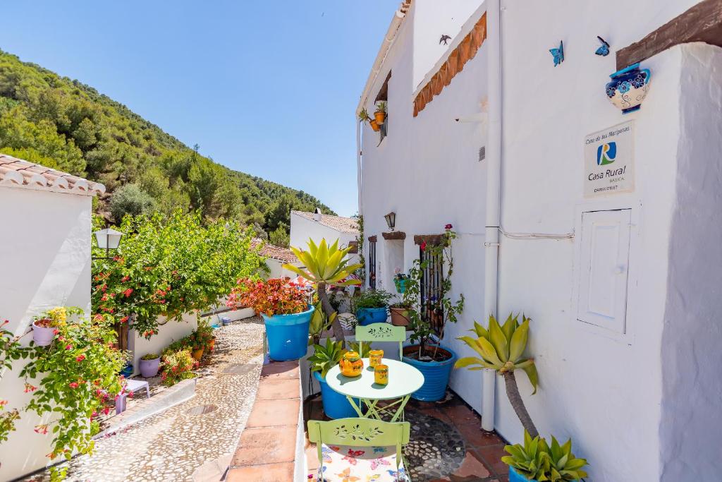La Casita de las Mariposas photo 2