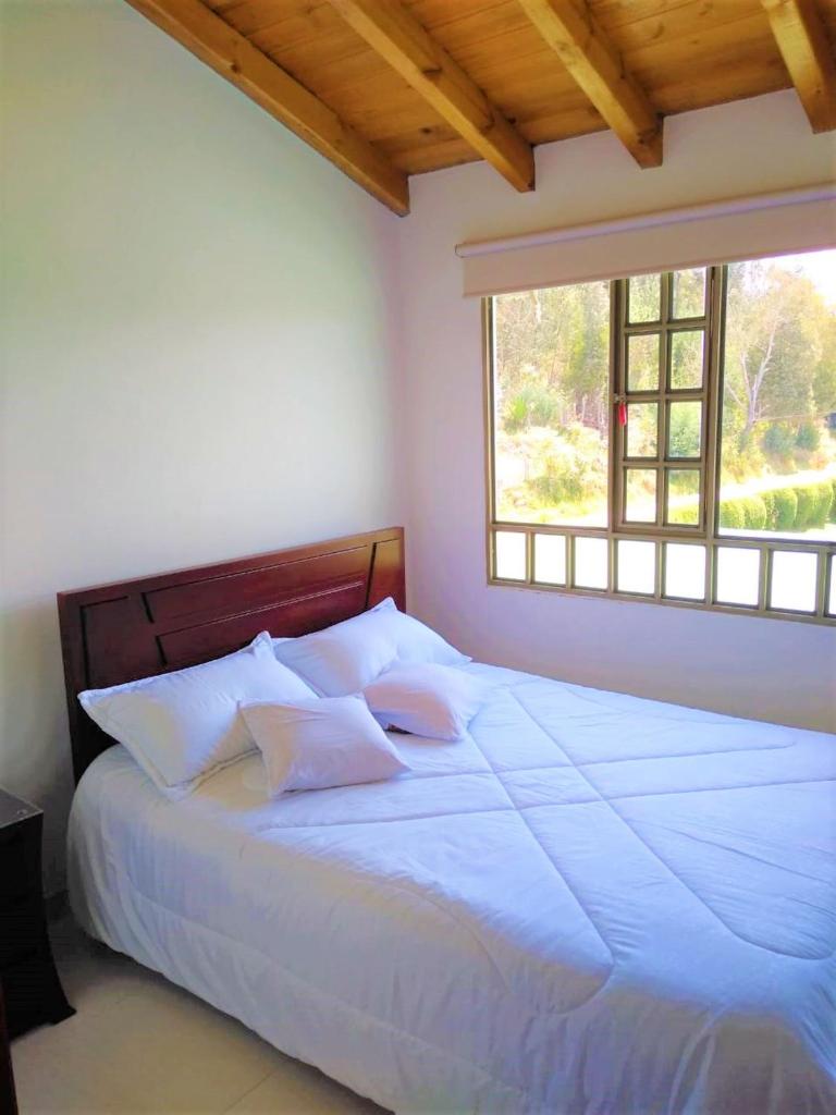 Villa Libertad photo 2