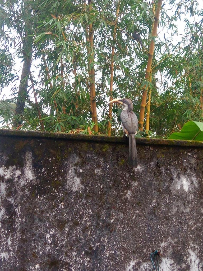 Rathna Gems Halt photo 2