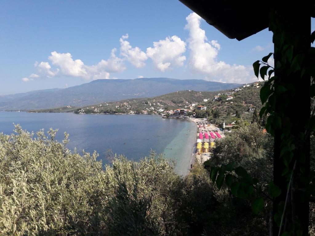 VILLA IMELDA photo 3