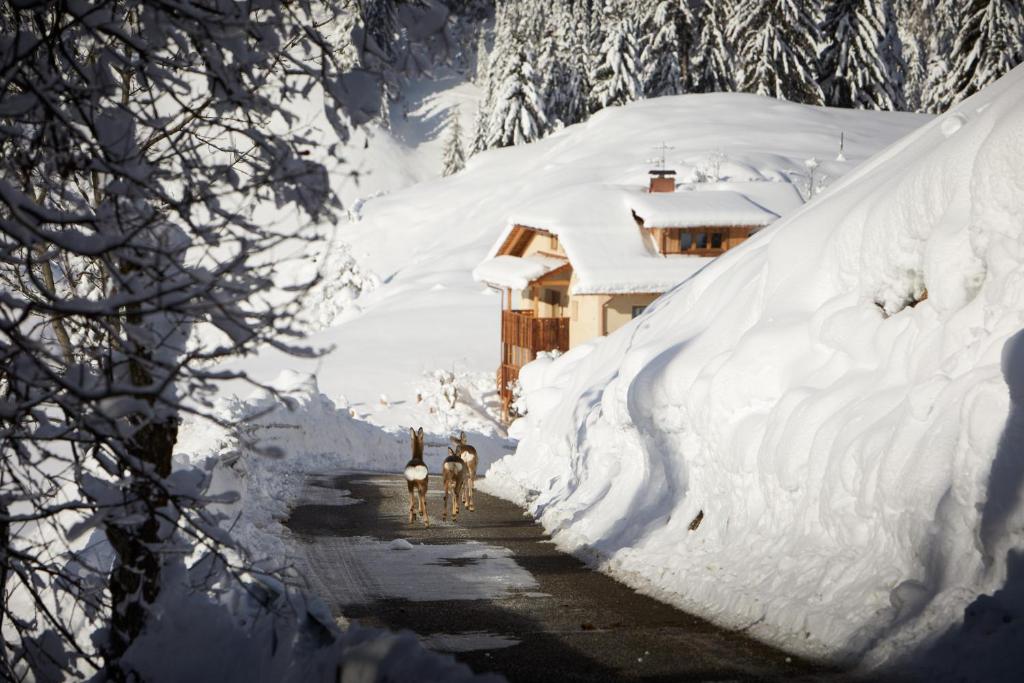 Sotciastel Antico Chalet photo 1