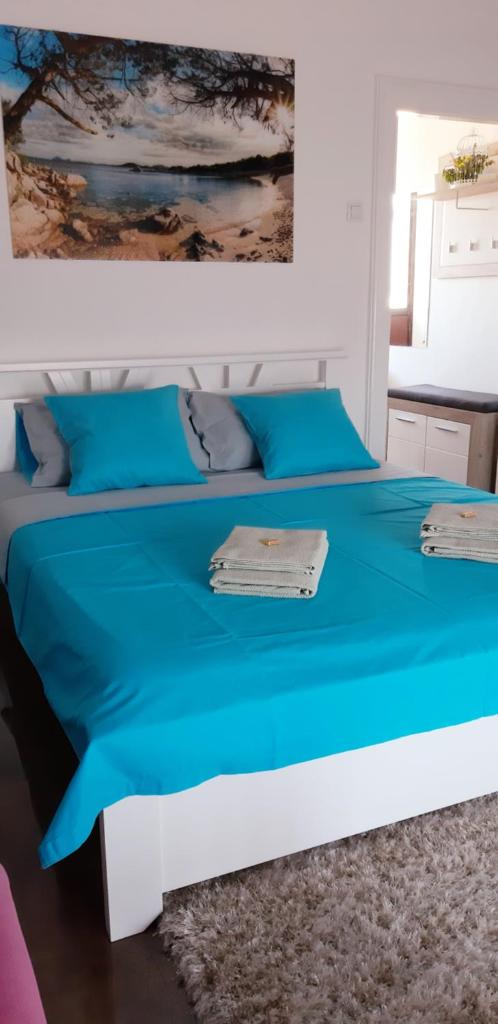 Apartment Zorana-Center photo 2