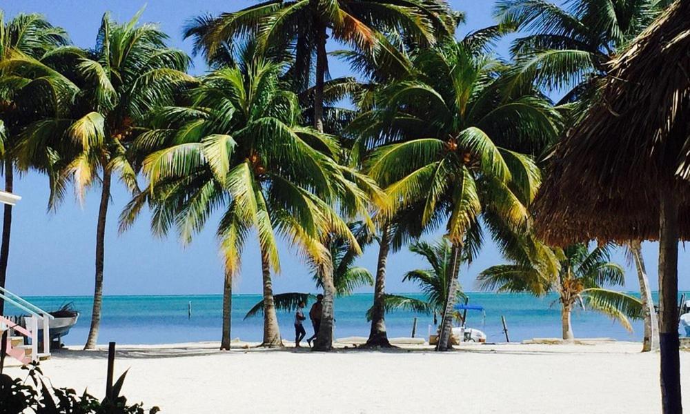 Axios Sun Apartments Caye Caulker photo 3