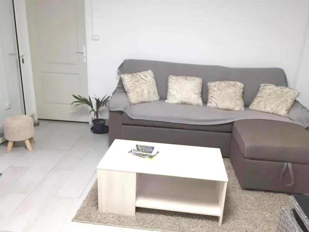 Appartement d'une chambre a Les trois bassins a 100 m de la plage avec jacuzzi jardin clos et wifi photo 4
