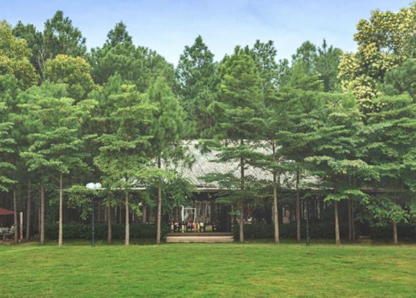 My Houses Owner Flamingo Dai Lai Resort Luxury